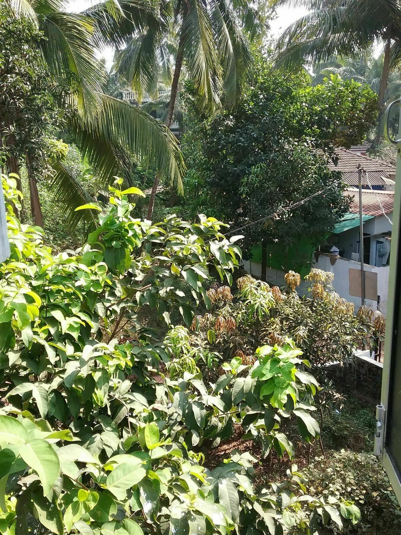 Hotel Baga Villa Bnb Saligao Exterior photo